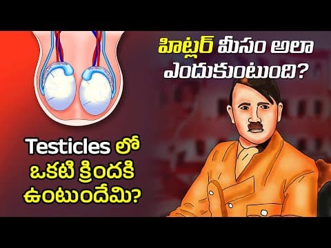 Interesting Facts in Telugu | Why Hitlers mustache short | Telugu Facts