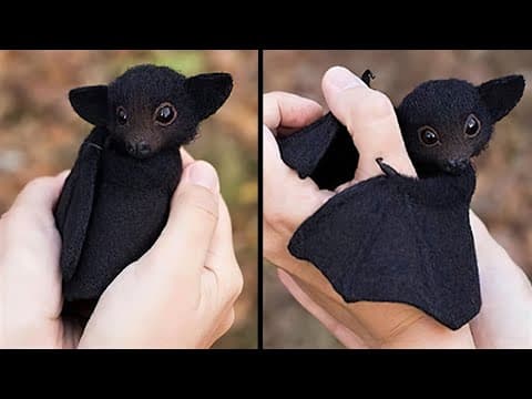 20 Cutest Baby Animals That Will Make You Go Aww