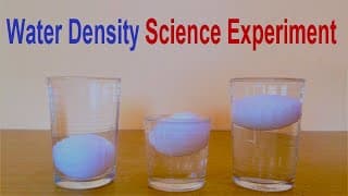 Water Density Science Experiment using Eggs & Salt Water