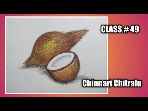 Step by Step Drawing || How to draw a Coconut