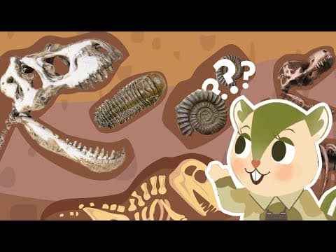 Dinosaur World | How are Dinosaur Fossils formed?? Explained | Science for Kids