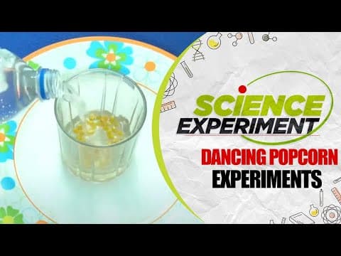 Science Experiment - 43 | Dancing Popcorn Experiment | Chemistry Experiment