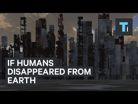 If humans disappeared from Earth - YouTube