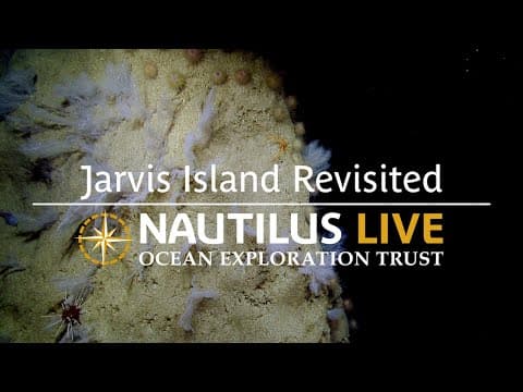 Breathtaking Biodiversity of Jarvis Island Revisited