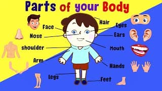 Parts of the Body for Kids|Part of your body|Body Parts for Kids|My body Parts