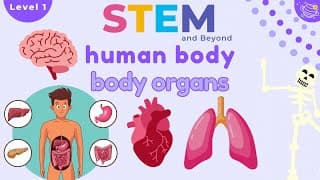 Human Body Organs|Science For Kids|STEM Home Learning