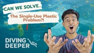 Can We Solve the Single-Use Plastic Problem
