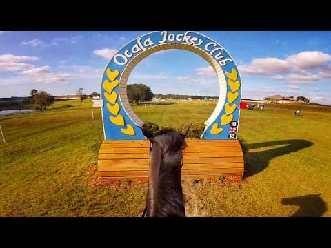 DIY kawaii donut animal stamps made with an eraser