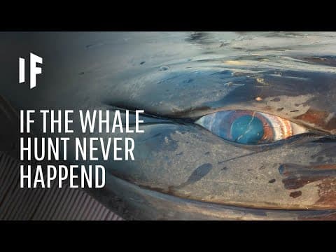 What If We Never Started Hunting Whales?