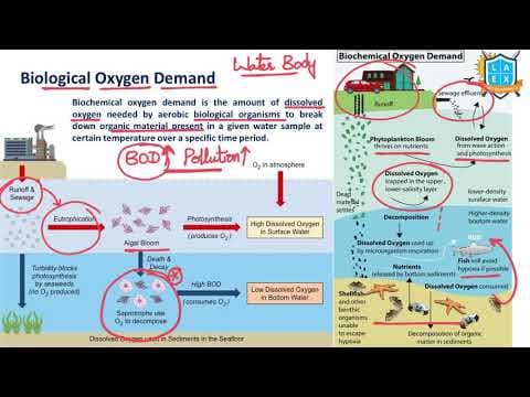 What is Biological Oxygen Demand ? || Biological Oxygen Demand (BOD) అంటే ఏమిటి?