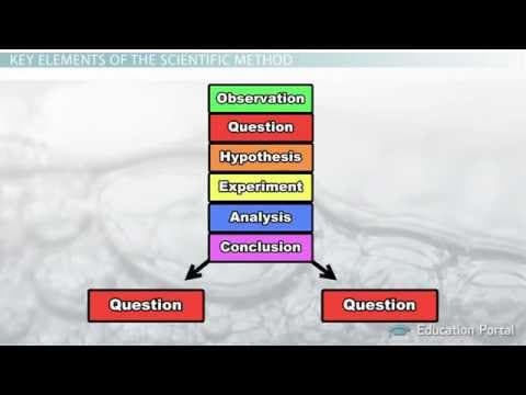 The Scientific Method Steps Terms and Examples