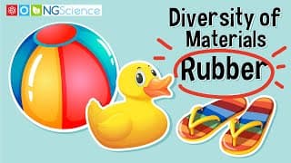Diversity of Materials – Rubber