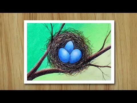 Bird eggs in the nest drawing, Easy Drawing for beginners