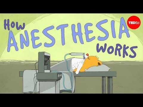 How does anesthesia work? - Steven Zheng - YouTube