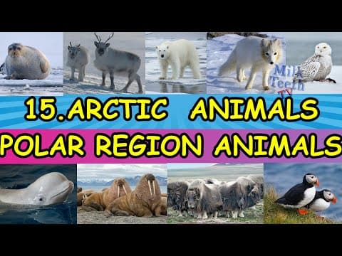 15 Interesting Arctic Animals or Animals of North pole with Pictures and facts for Smart Kids