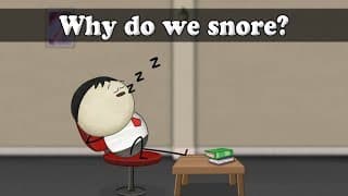 Why do we snore aumsum kids science education children