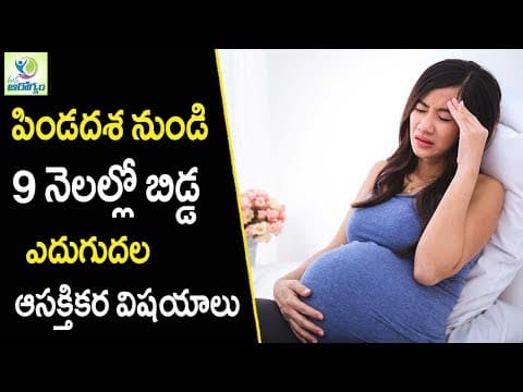 Month by month baby development - pregnant women