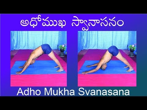 Adho Mukha Svanasana by Kuppi Reddy | Benefits | How to do Adho Mukha Svanasana in Telugu | Yoga