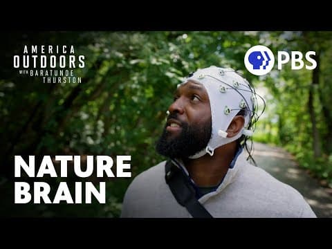 How does nature affect your brain| Here is the science