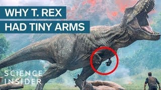 Where Did T Rex's Tiny Arms Come From?