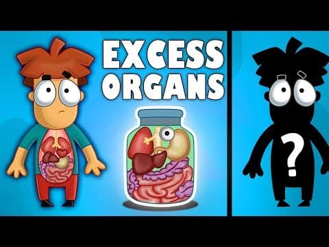 It Will Happen To Your Body If You Remove These 5 Organs