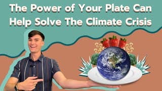 The Power of Your Plate|Can a Plant-Based Diet Solve the Climate Crisis