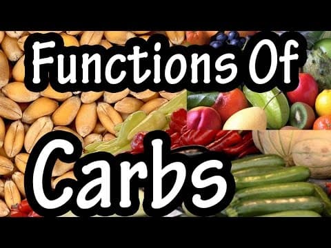 Functions Of Carbohydrates - What Do Carbohydrates Do In The Body - Importance Of Carbohydrates