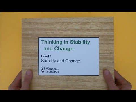 Thinking in Stability and Change