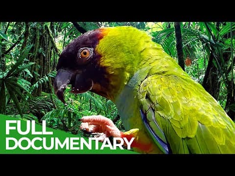 Great Places of the World | Episode 4: Jamaica