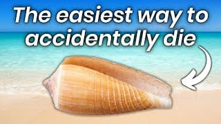 This is surprisingly one of the easiest way to accidentally die