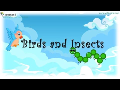Birds Insects Learn about Birds for Kids l Types of Birds