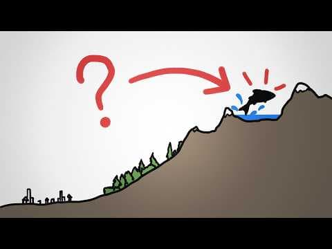 How do fish get into isolated mountain lakes