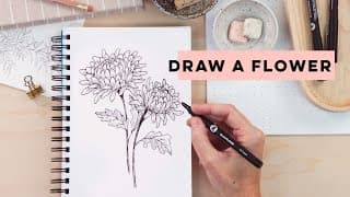 How To Draw A Flower | Beginner Chrysanthemum Tutorial