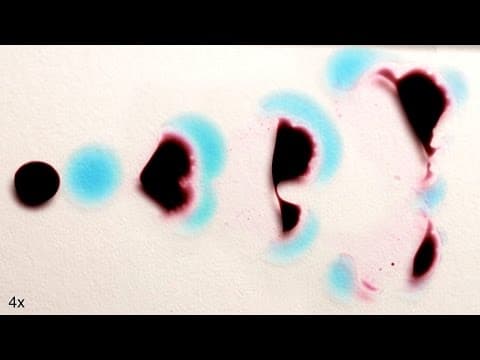 These Liquids Look Alive