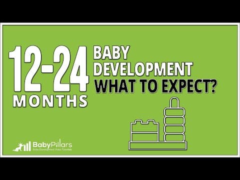 12-24 months developmental milestones - What To Expect