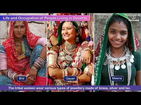 The Great Indian Desert | New Sparkle Semester Series Social Studies Grade 4 | Jeevandeep