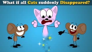 What if all Cats suddenly Disappeared  more videos |aumsum kids education