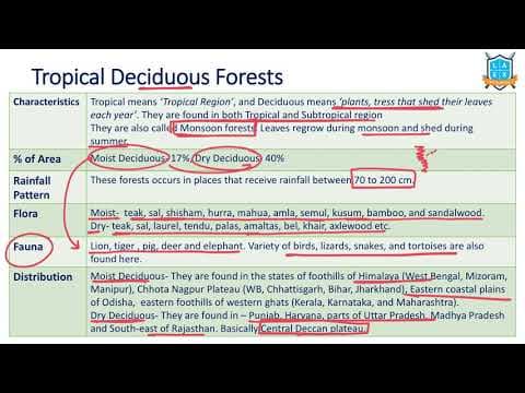 What is a Tropical Deciduous Forest? || Types of Forests in India అంటే ఏమిటి?