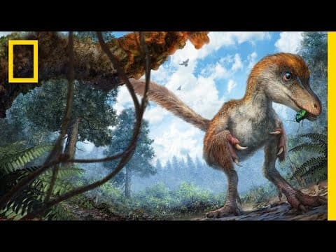 Dinosaur's Feathered Tail Found Remarkably Preserved in Amber | National Geographic - YouTube