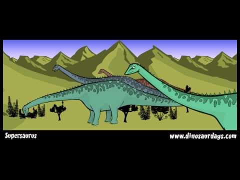 SUPERSAURUS - the jurassic period - YouTube