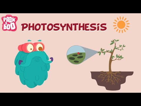 Photosynthesis | The Dr. Binocs Show | Learn Videos For Kids - YouTube