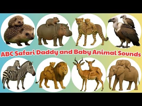π¦π Safari Daddy Rescues Baby Animals from Cages | Family Love & Protection | Meow Meow TV πΏπ