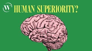 How humans evolved to be intelligent