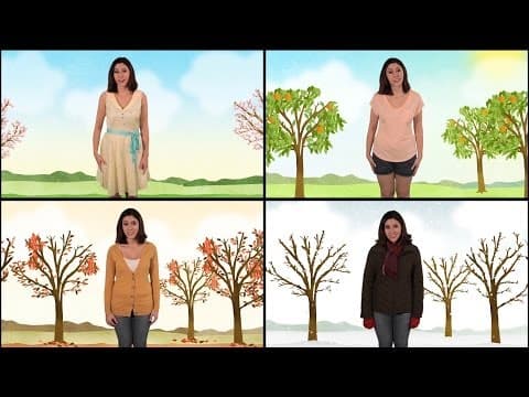 Why do we have seasons? spring summer fall winter - science for kids