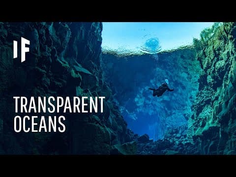 What If the Ocean Was Transparent?