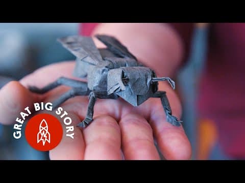 Robert Lang’s Incredible Origami Creations: A Fold Apart