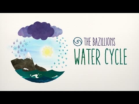 Water Cycle by The Bazillions
