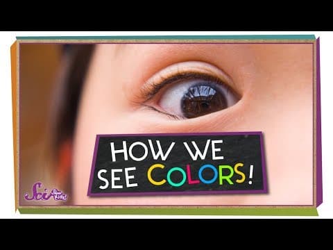 How do we see color?
