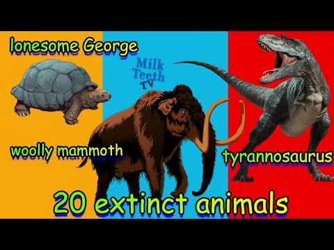 20 Extinct Animals Names with Pictures and Details every Smart Kid and Parent must know in 2021