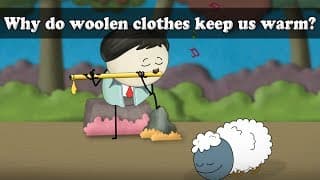 Why do woolen clothes keep us warm aumsum kids science education children